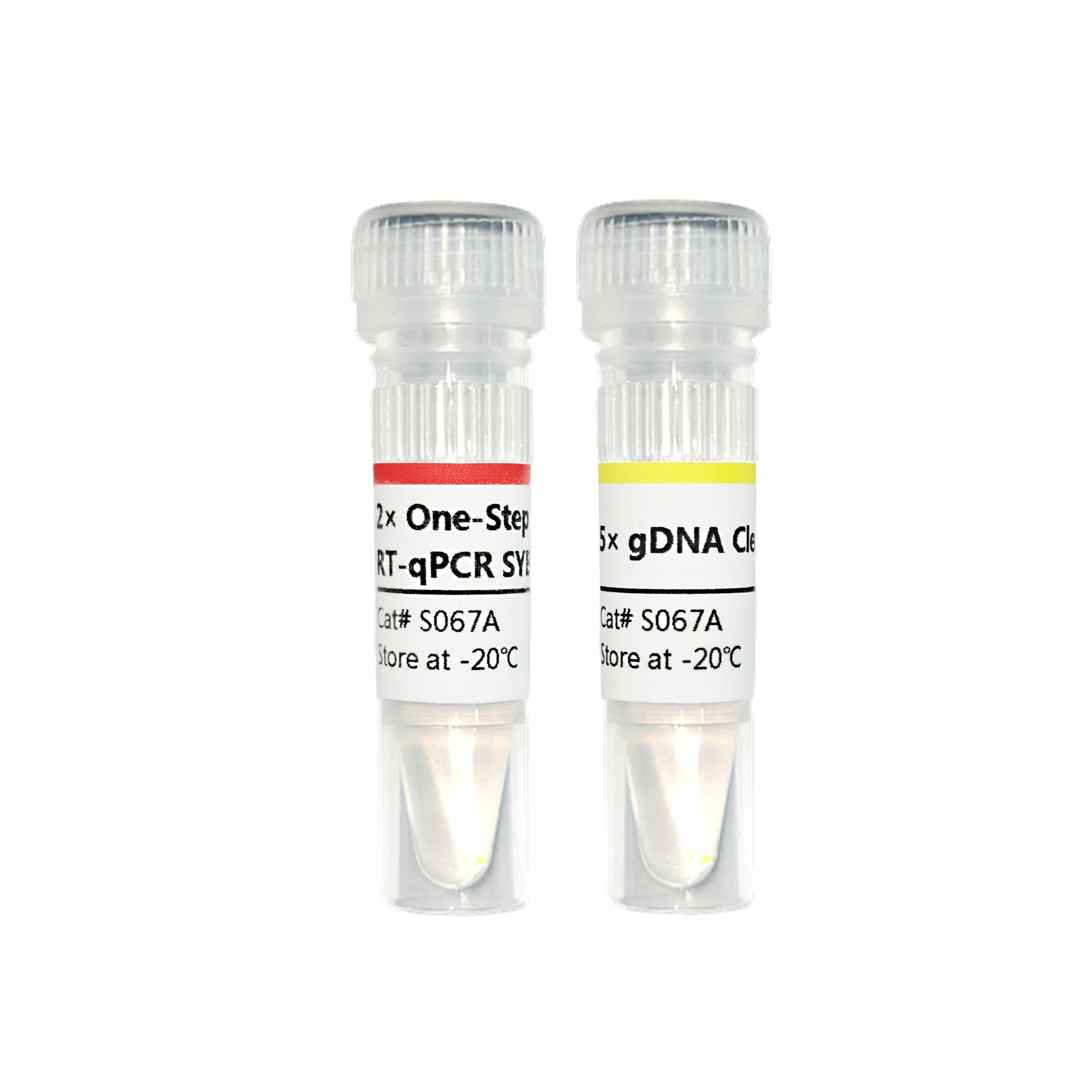 One-Step U+RT-qPCR SYBR Kit（+gDNA clearer）