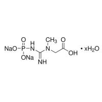 磷酸肌酸 二钠盐 水合物