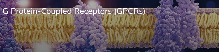 双11 买一送一 科研火力全面加倍！