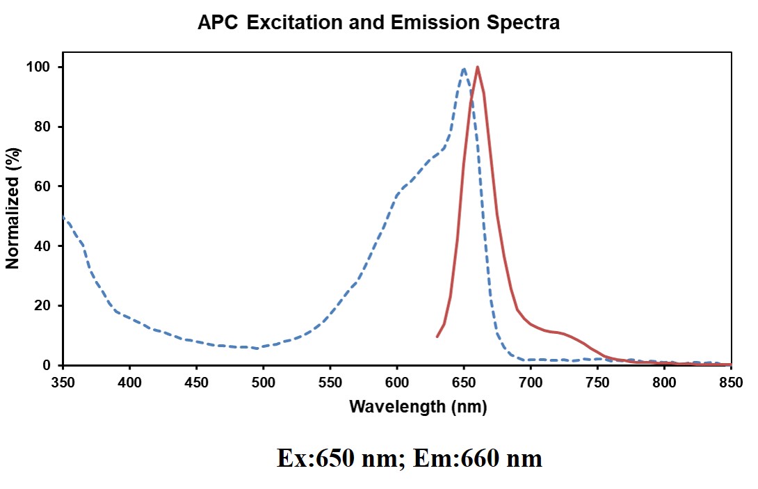 APC Anti-Mouse CD34 Antibody[R