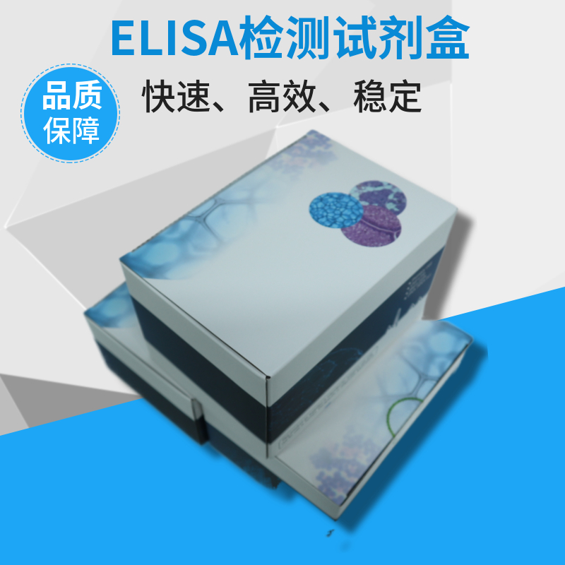 判断PCR检测试剂盒合格性的核心指标与方法