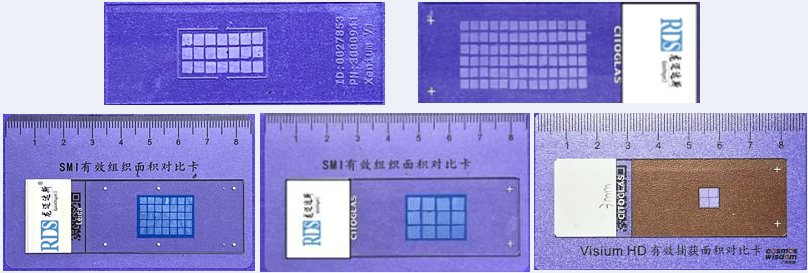 组织蜡膜制备组织芯片