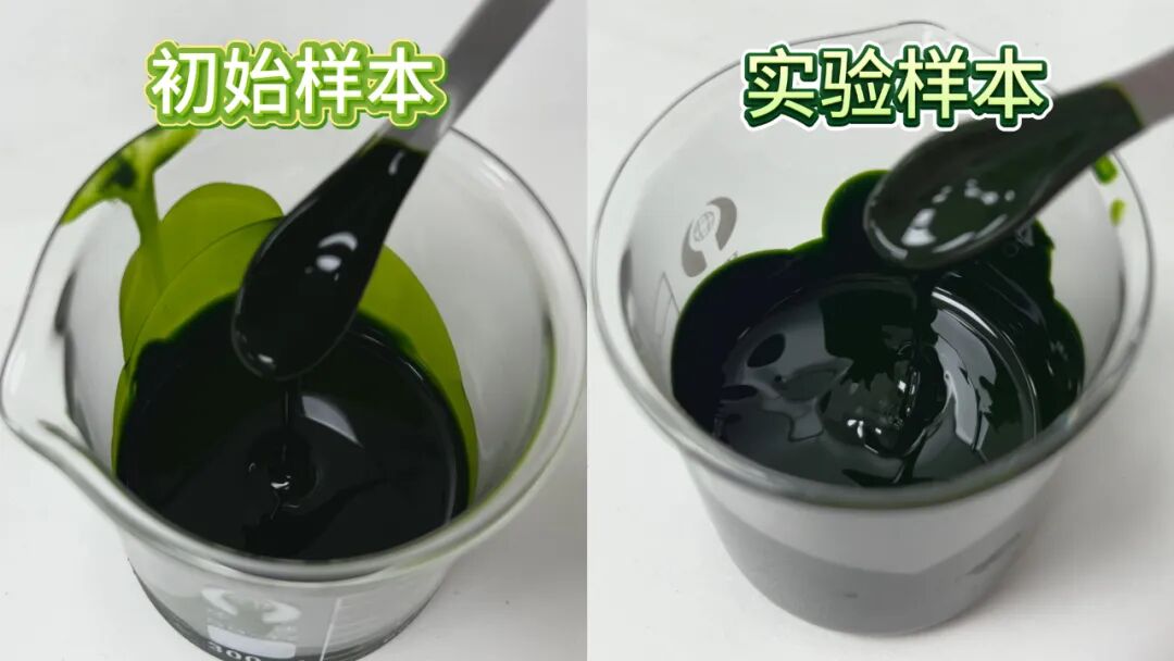 ATS 干货分享丨高压均质机破碎小球藻，提升营养释放效率，减少活性成分损耗