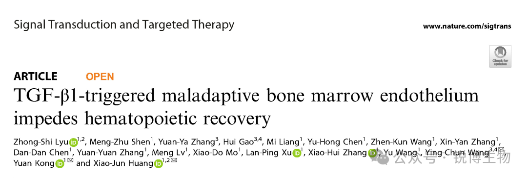 Nature子刊丨TGF-β1触发的适应不良骨髓内皮阻碍造血恢复