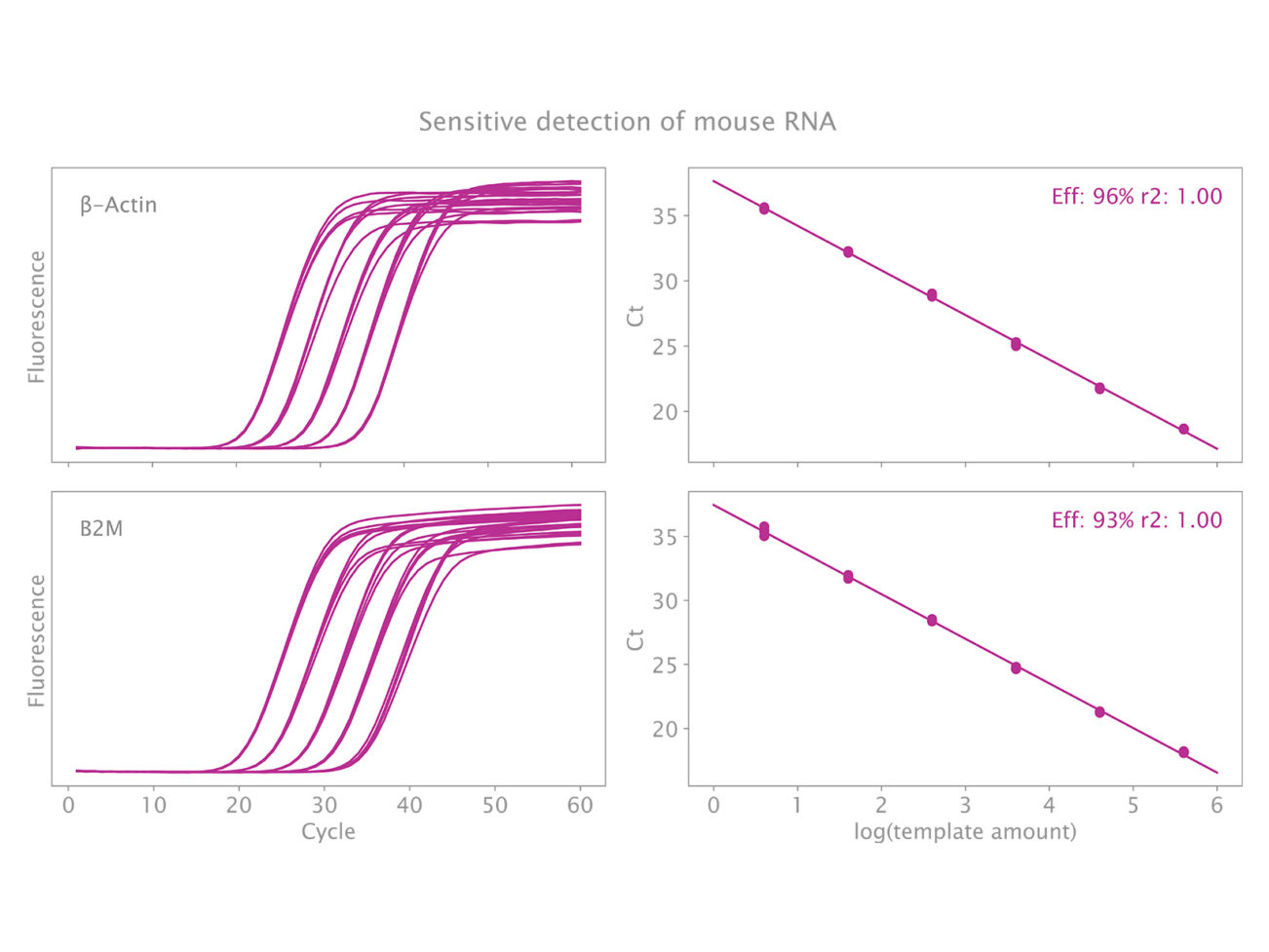 Fig-1_ClaraProbe1StepMix_RNAsingleplex_web_1640x1231-1302x977.jpg