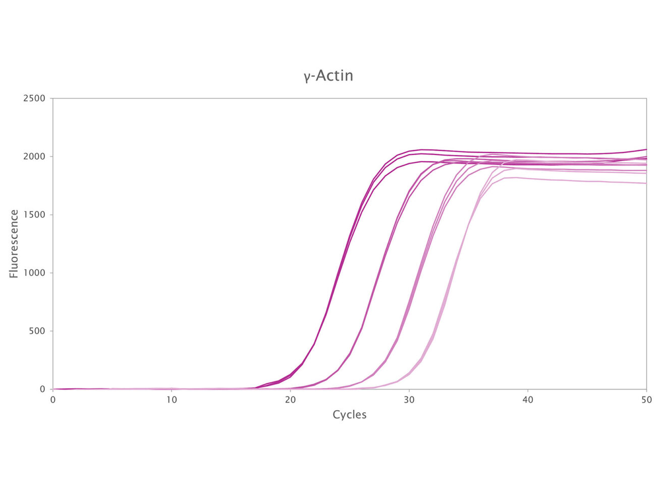 Web-Figure_1-Singleplex-with-Clara-IT-Probe-Mix-DNA-without-saliva-1640x1231-1-1302x977.jpg