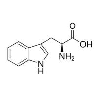 L-色氨酸.