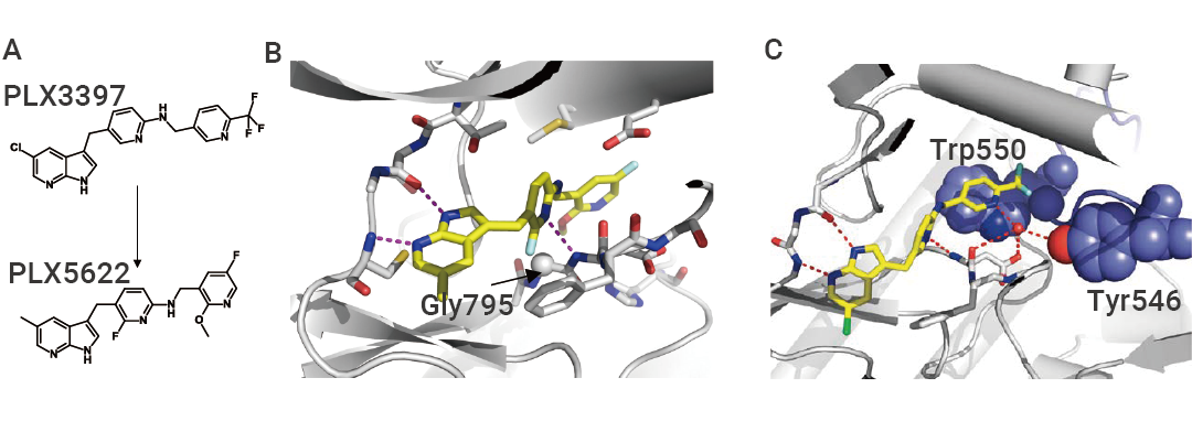 国自然热点 ｜ “静息”是误解 “M1M2” 已过时 最热的小胶质细胞耗竭, 你必须了解