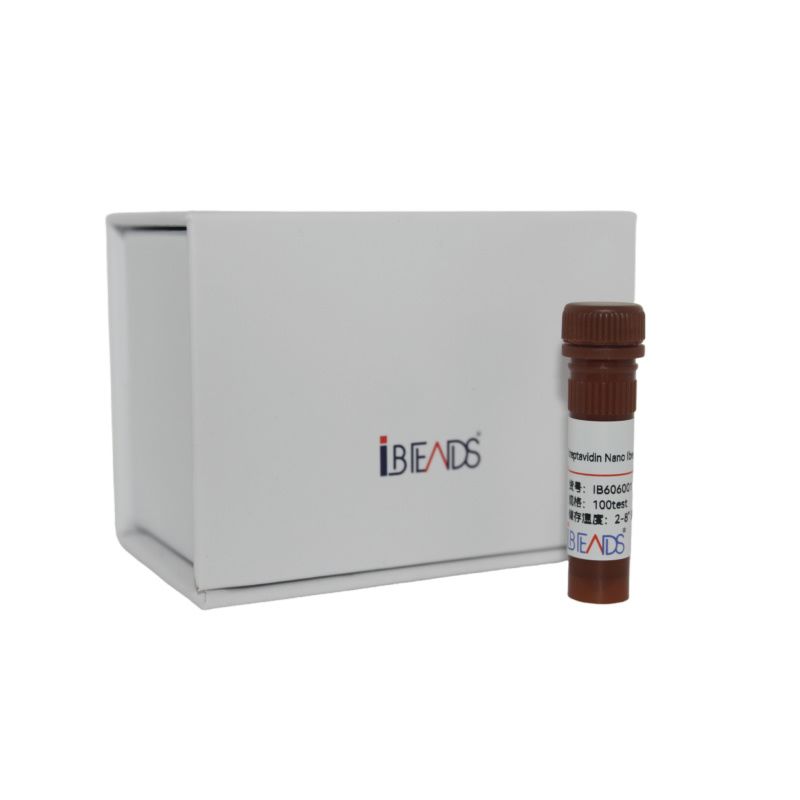 Streptavidin Nano ibeads®（链霉亲和素磁珠）