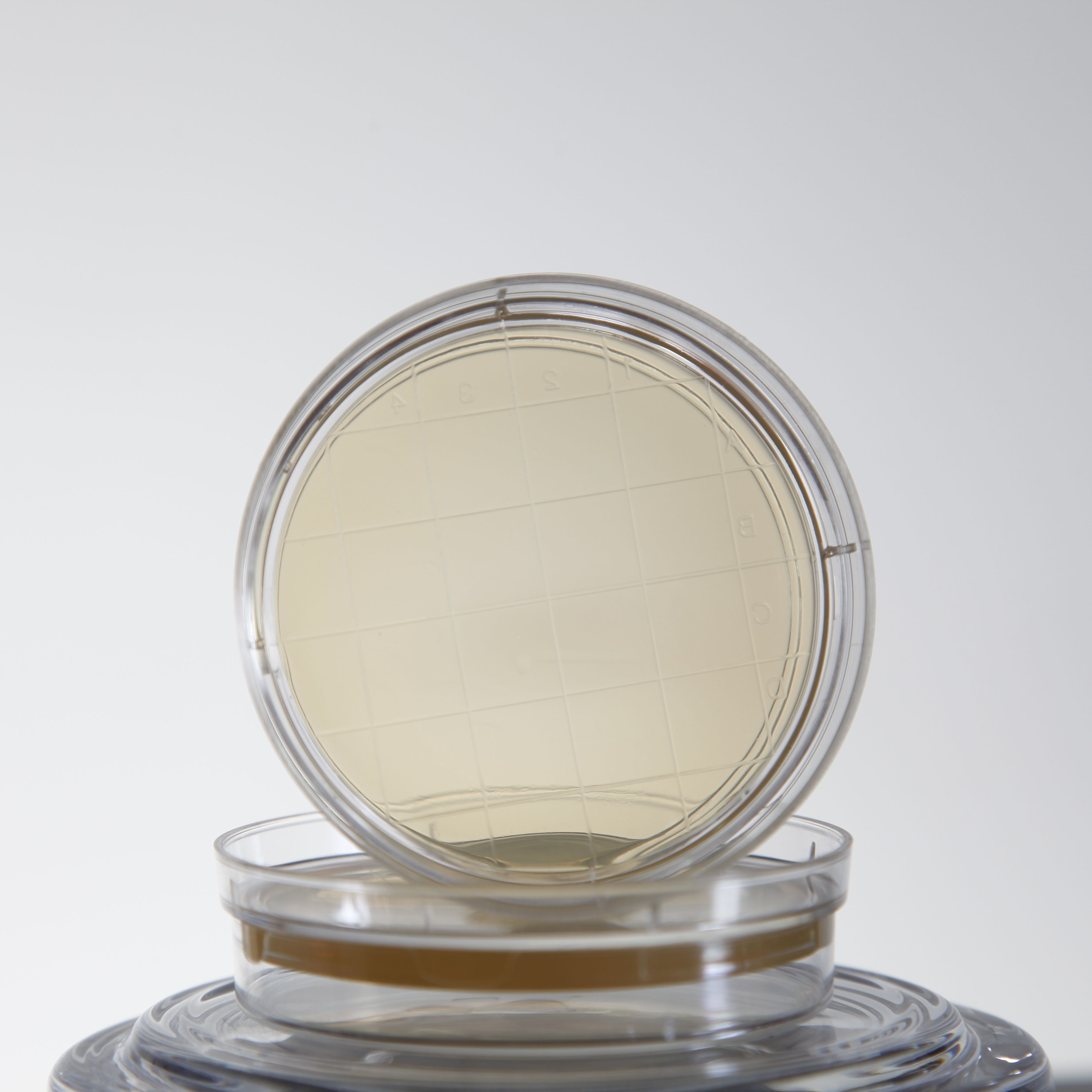 成品预装培养基平皿(TSA)