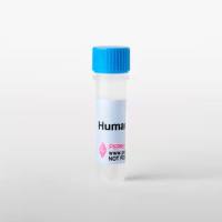 人 IL-4 重组蛋白, PeproTech®