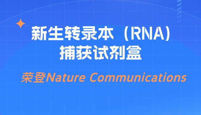 Nature Communications|新生转录本（RNA）捕获技术助力发现LEMD3在染色质三维结构中的新功能