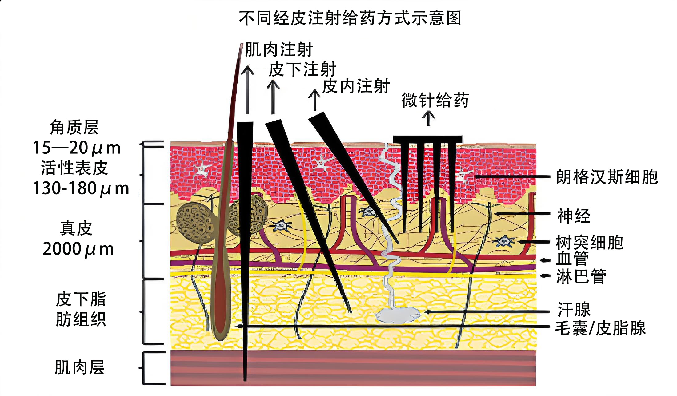 技术资料图片1