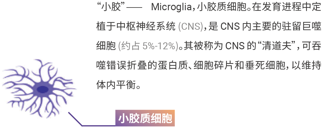 国自然热点 ｜ “静息”是误解 “M1M2” 已过时 最热的小胶质细胞耗竭, 你必须了解