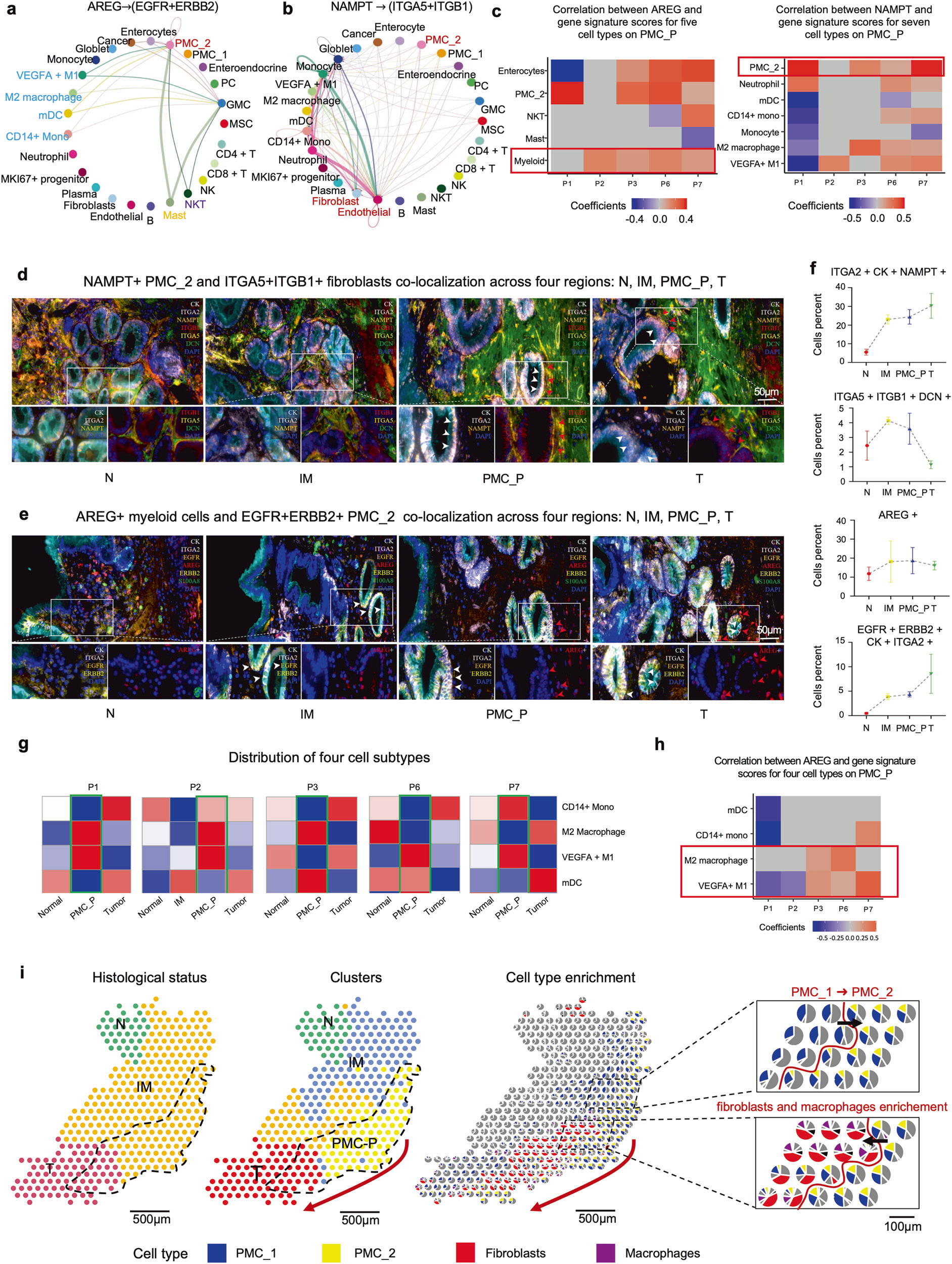 STTT| Tissue Cytometry技术 “解码” 胃癌前关键互作,让 PMC_P 微环境从 【数据猜想】变 【可视化证据】