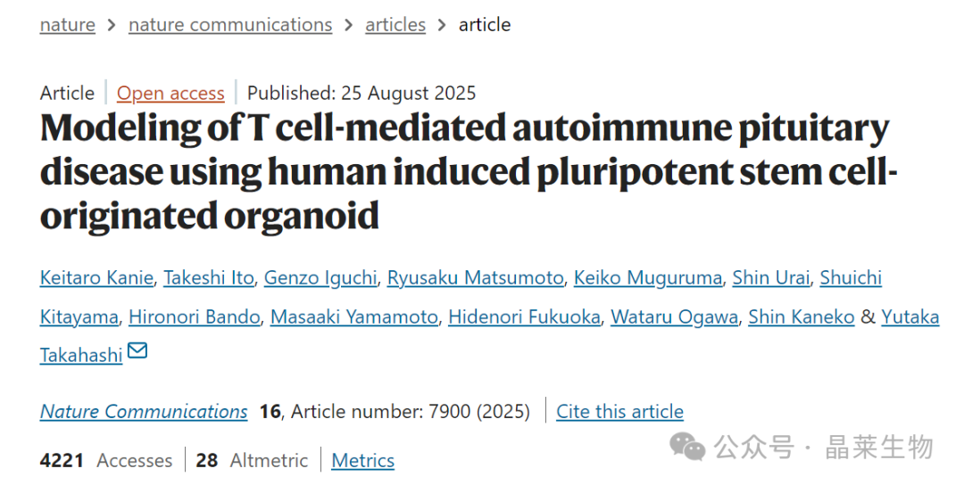 【顶刊速递】《Nature》：利用患者iPSC构建疾病模型，研究首次直接证实抗PIT-1垂体炎中细胞毒性T细胞的攻击作用