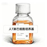 人T淋巴细胞培养基