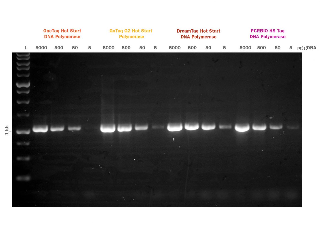 Fig-1-PCRBIO-HS-Taq-DNA-Polymerase-Competitor-Comparison-LR-1302x977.jpg