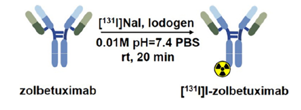 放疗×单抗=胃癌治疗新范式？abinScience助力靶向治疗新策略