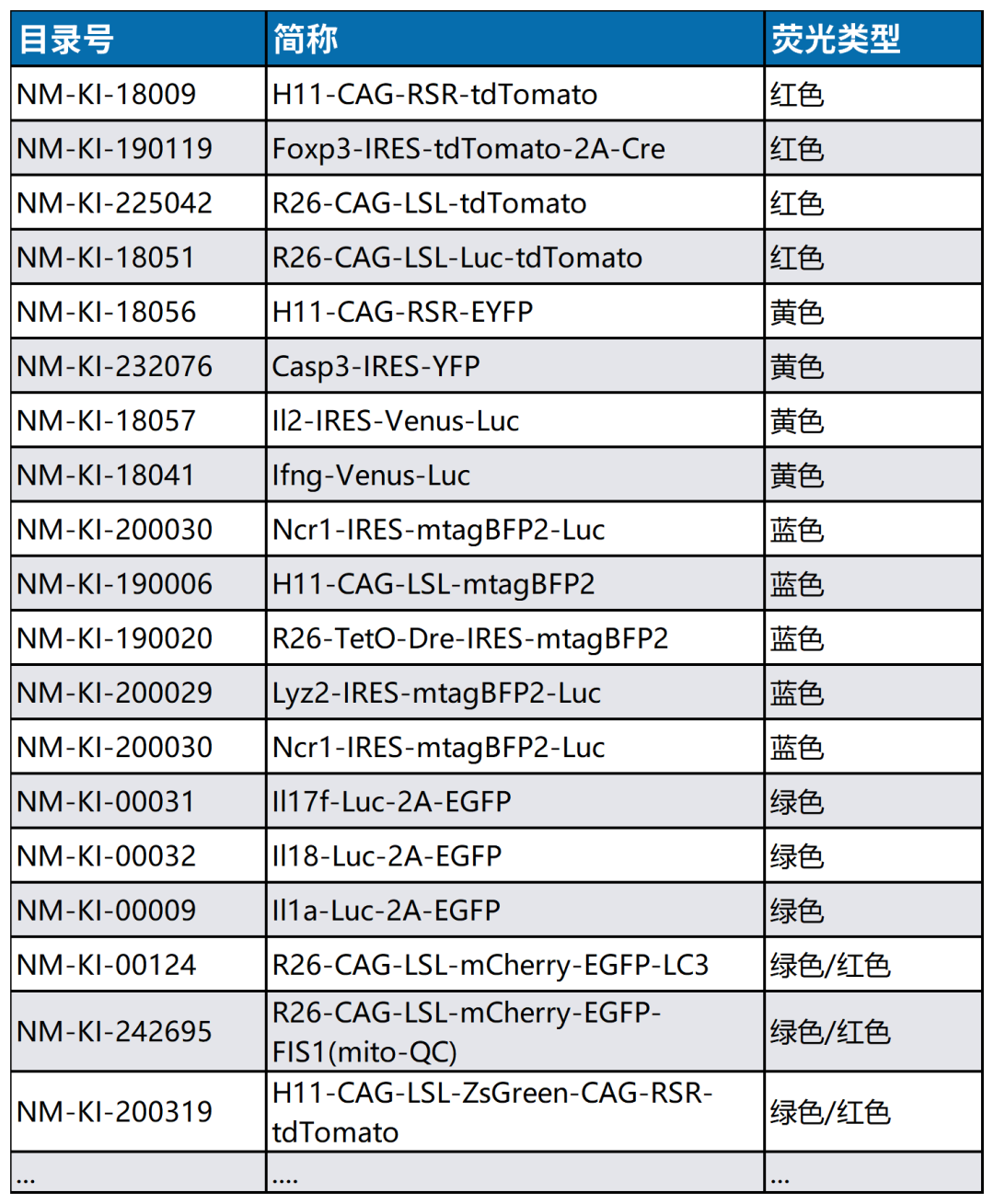 光转化蛋白KikGR：轻松捕捉细胞”行踪”