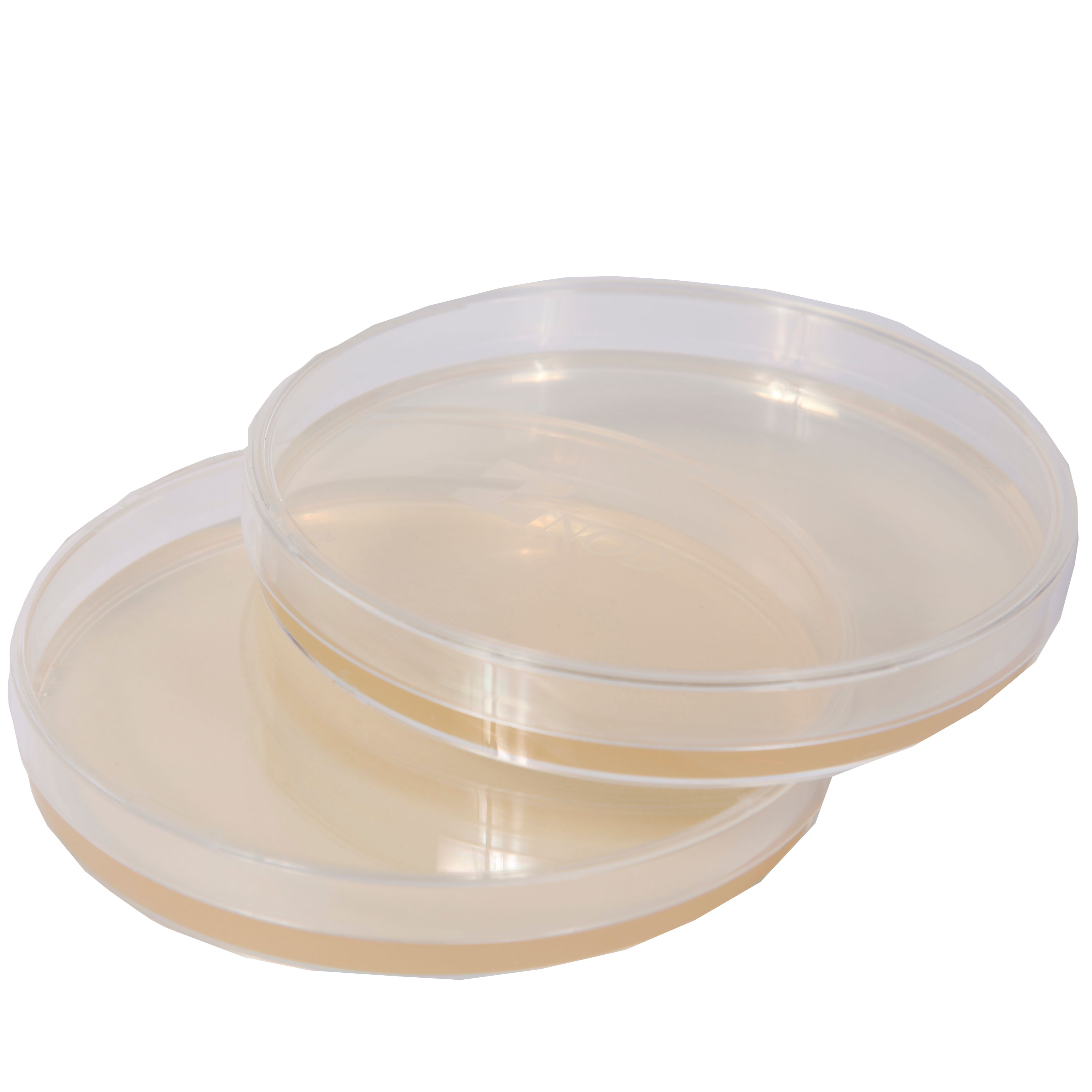 成品预装培养基平皿(R2A)