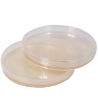 成品预装培养基平皿（R2A）