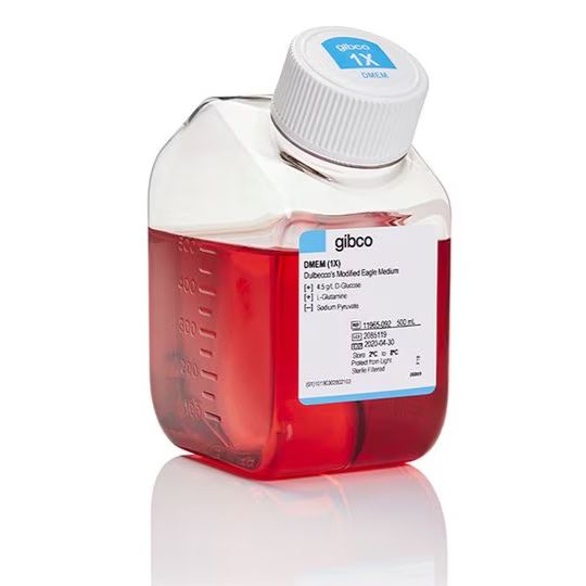 DMEM高糖培养基