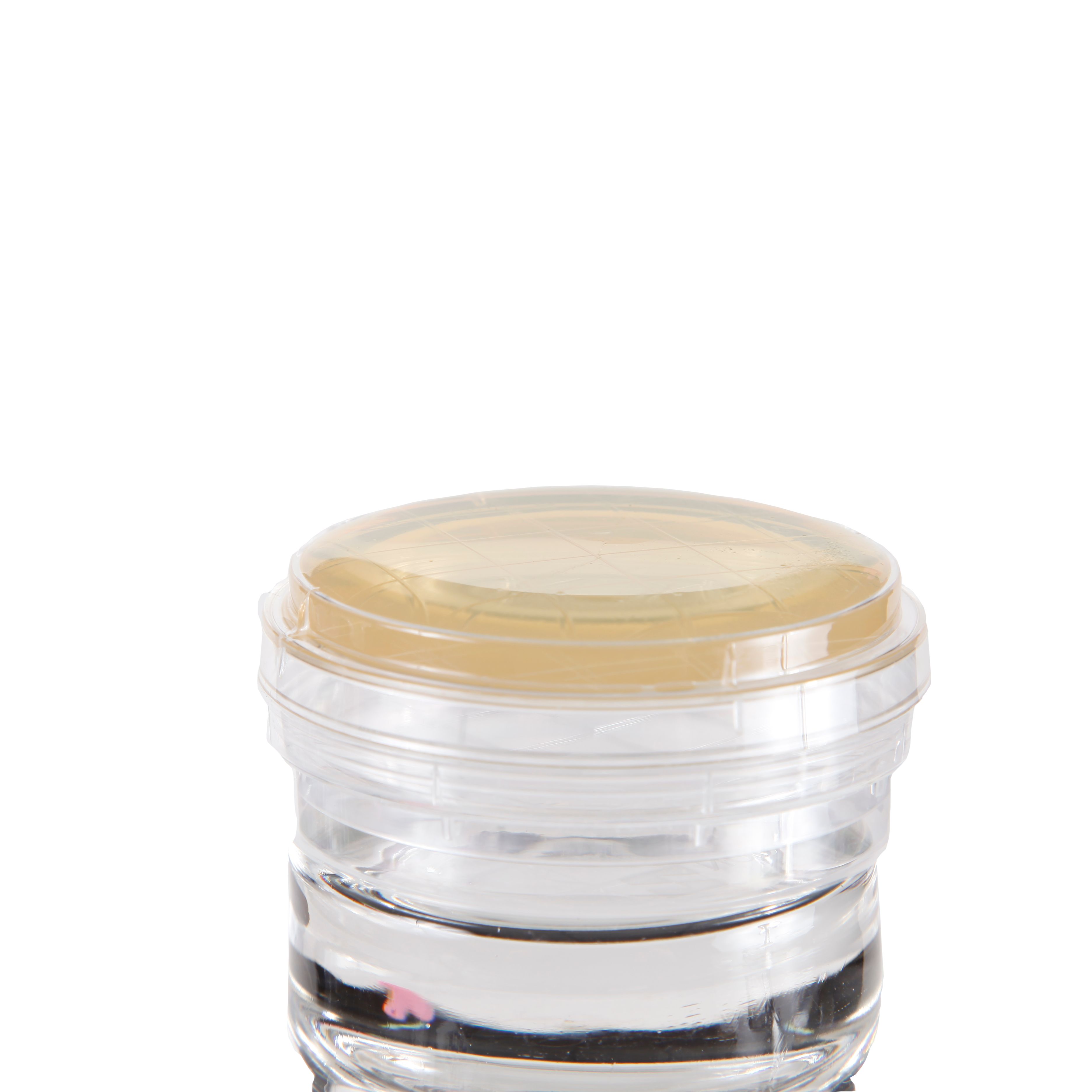 成品预装培养基平皿（SDA）