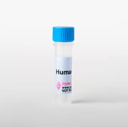 小鼠 IL-3 重组蛋白, PeproTech®