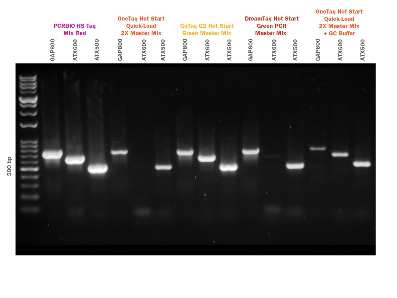 Fig-3-PCRBIO-HS-Taq-Mix-Red-Competitor-Comparison-GC-Rich-LR-1302x977.jpg