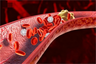 自身免疫性疾病的发病机制：遗传、免疫与环境因素的交互作用