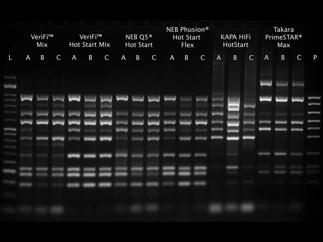 Fig-1-HS-VeriFi-in-Multiplex-Competitor-Comparison-1302x977.png