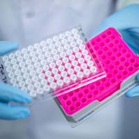 PCR用氯化镁、ROX添加剂及凝胶上样缓冲液