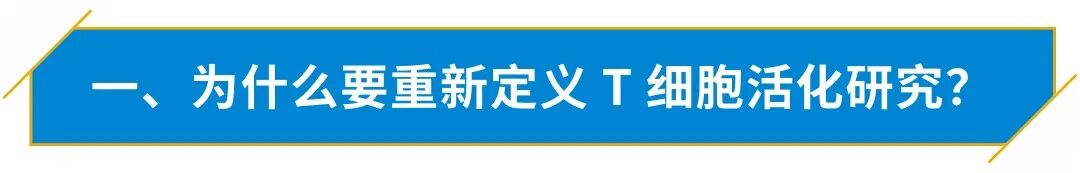 多技术联用解锁 T 细胞活化研究新范式，Cytation 这套研究方案太实用了