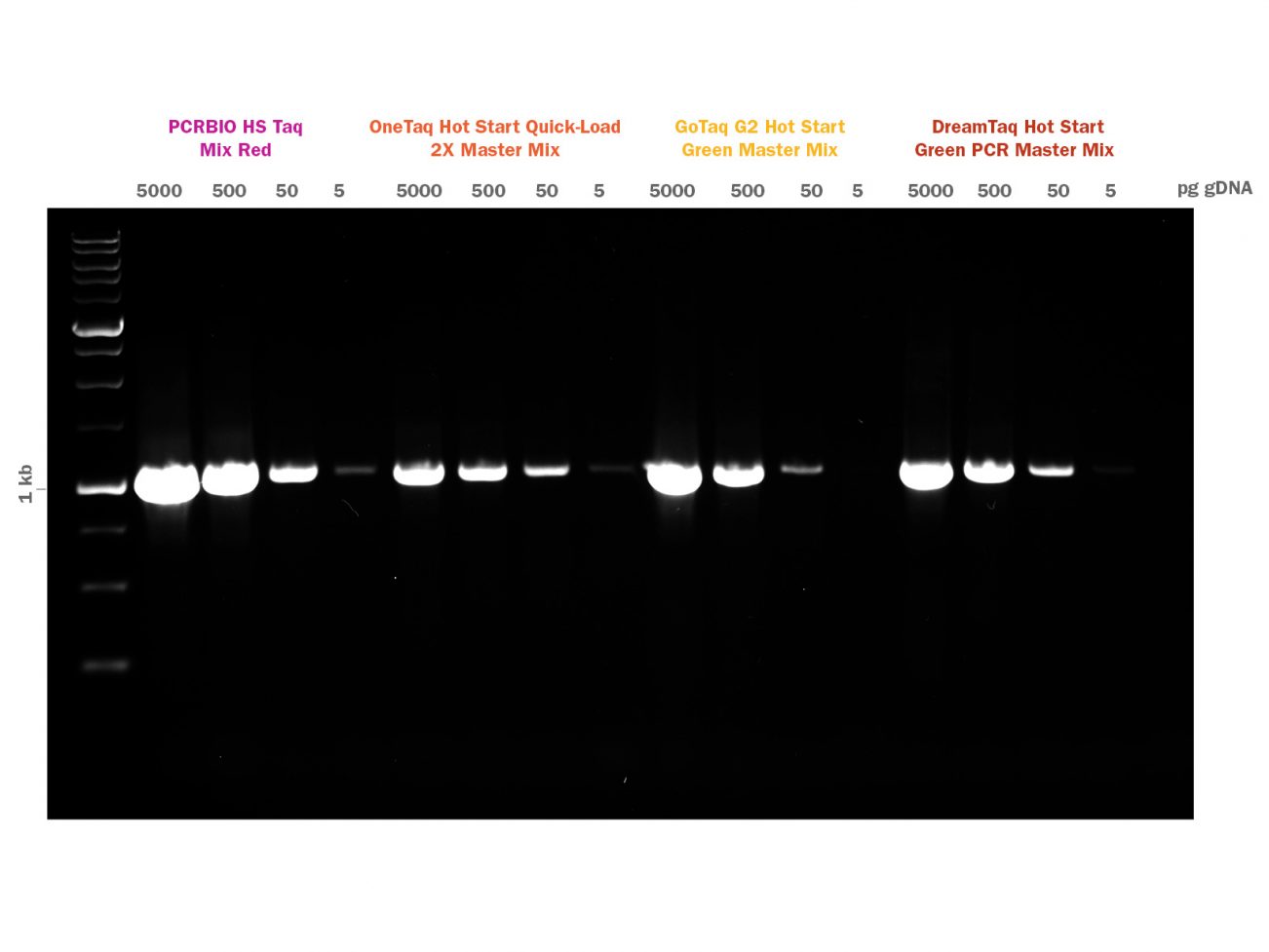 Fig-2-PCRBIO-HS-Taq-Mix-Red-Competitor-Comparison-1kb-LR-1302x977.jpg