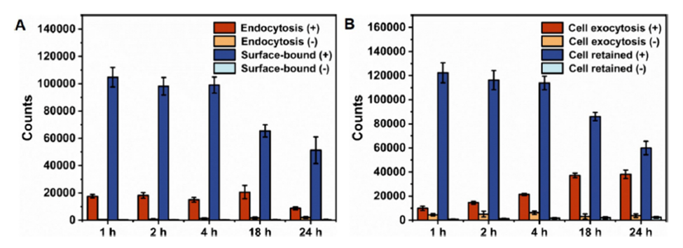 放疗×单抗=胃癌治疗新范式？abinScience助力靶向治疗新策略