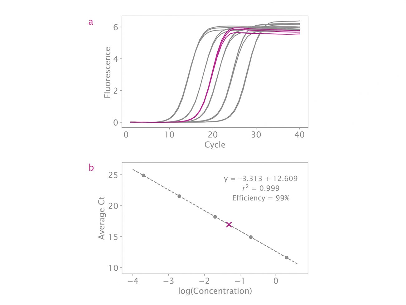 NGSBIO-Amplification-and-Standard-Curves-1640x1231-1-1302x977.jpg