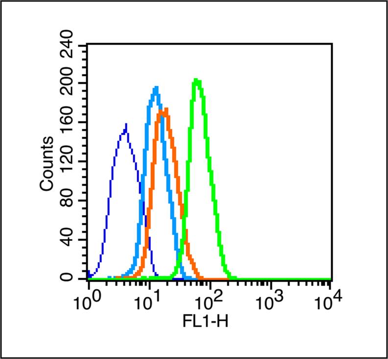 CD90/Thy-1 Rabbit pAb(bs-0778R
