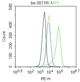 ATG18 Rabbit pAb(bs-3871R)-50u