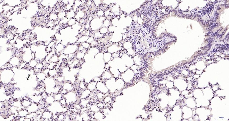 产品细节图片10