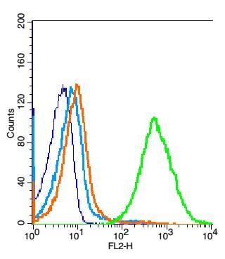 TLR6 Rabbit pAb(bs-2716R)-50ul