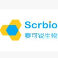 [13C]-乳-N-新四糖