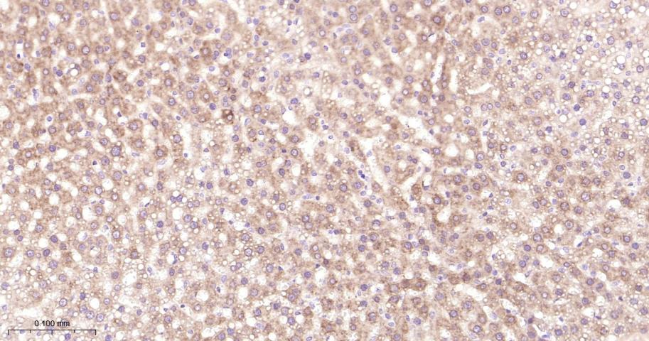 产品细节图片13