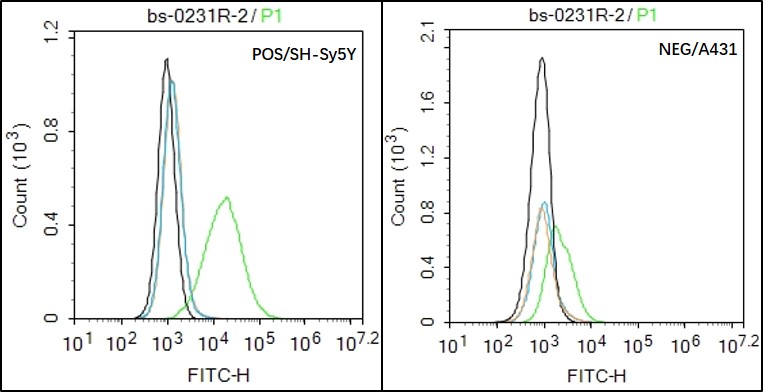 PDGFRA Rabbit pAb(bs-0231R)-50