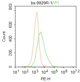 KCNE1L Rabbit pAb(bs-9929R)-50