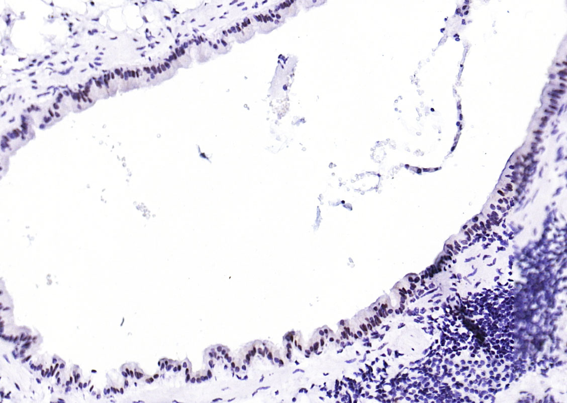 产品细节图片13
