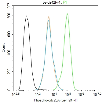 phospho-cdc25A (Ser124) Rabbit