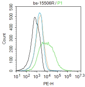 TRPV6 Rabbit pAb(bs-15506R)-50