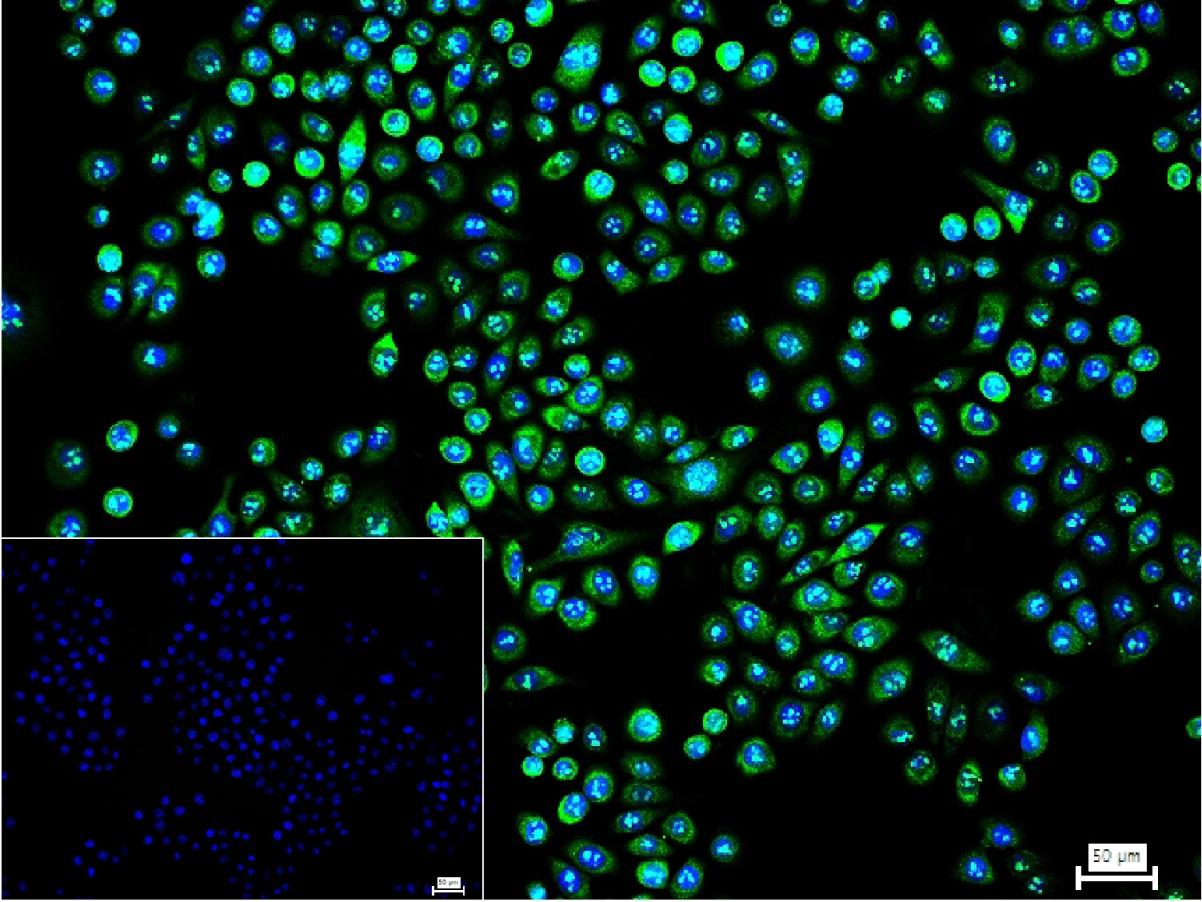 产品细节图片16