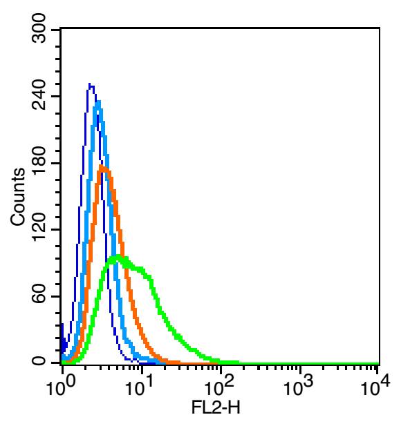 ROM-K/Kcnj1 Rabbit pAb(bs-2960